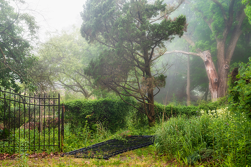 At the gate ii